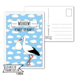 Kaart Baby - No: 05 (Woehoew Kindje op komst-Ooievaar-wolk-blauw/roze/geel/grijs) - Afbeelding 2