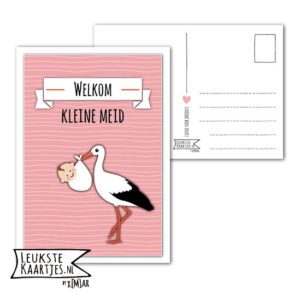 Kaart Baby - No: 06 (Welkom kleine Meid-Ooievaar-streep-roze)