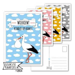 Kaart Baby - No: 05 (Woehoew Kindje op komst-Ooievaar-wolk-blauw/roze/geel/grijs)