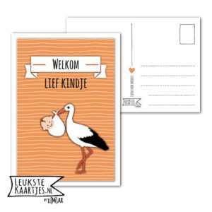 Kaart Baby - No: 10 (Welkom lief Kindje-Ooievaar-streep-oranje)