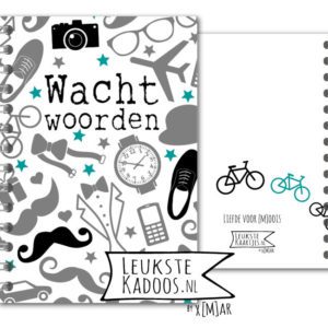 Wachtwoordenboekje - Mannen No:01 (Wachtwoorden - Icontjes mannelijk, blauw/grijs)