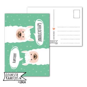 Kaart Verjaardag -> Nr 12 (Gefeliciteerd-Lama's)