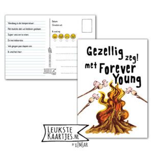 Kaart Op Kamp -> Forever Young No: 42 β 4 (Gezellig zeg! Kampvuur met marshmallows)