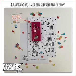 Kaartkadootje -> Sleutelhanger Juf & Meester, Schooljaar – No:01 (Jij bent de sleutel naar mijn succes! Liefste juf-Roze)^