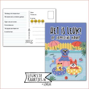 Kaart Op Kamp -> JoMeGiNi No: 70 /6-13 (Het is leuk! Op kamp – Blije honden in zwembad)