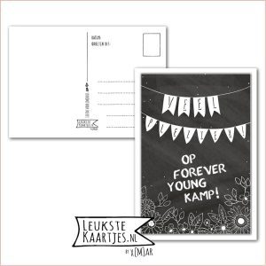 Kaart Op Kamp -> Forever Young - Thuisblijvers No: 10 - 2 (Veel Plezier-Vlaggetjes-zwart/wit)