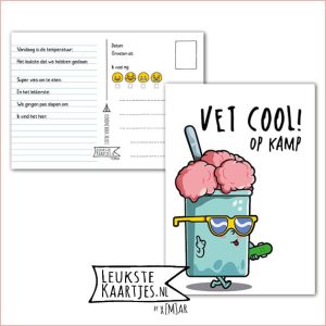 Kaart Op Kamp -> Kaarten Mee – No: 45 /6 (Vet Cool! Op kamp – Beker roze ijs met skateboard)