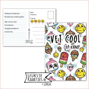 Kaart Op Kamp -> Kaarten Mee – No: 48 /6 (Vet cool! Op kamp – Verschillende ijsjes Kawaii met grote ogen)