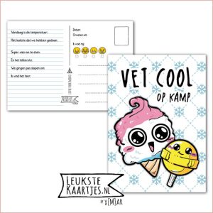 Kaart Op Kamp -> Kaarten Mee – No: 49 /6 (Vet cool! Op kamp – IJsjes Kawaii met grote ogen, roze en geel)