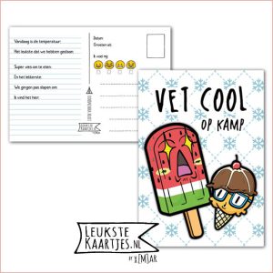 Kaart Op Kamp -> Kaarten Mee – No: 50 /6 (Vet cool! Op kamp – IJsjes Kawaii met grote ogen, rood en bruin)