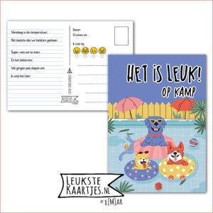 Kaart Op Kamp -> Kaarten Mee – No: 55 /6 (Het is leuk! Op kamp – Blije honden in zwembad)