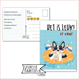 Kaart Op Kamp -> Kaarten Mee – No: 56 /6 (Het is leuk! Op kamp – Honden in zwemband in zwembad)