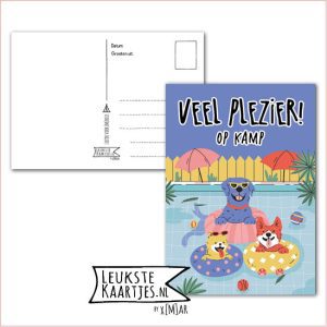 Kaart Op Kamp -> Thuisblijvers No: 31 /3 (Veel plezier! Op kamp – Blije honden in zwembad)