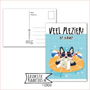 Kaart Op Kamp -> Thuisblijvers No: 32 /3 (Veel plezier! Op kamp – Hond in zwemband in zwembad)