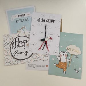 Baby - Zwanger & Kindje / Broertje/Zusje / Kleinkind / Nichtje/Neefje