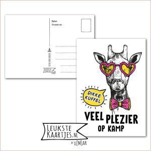 Kaart Op Kamp -> Thuisblijvers No: 63 /5 (Dikke knuffel, Veel plezier op kamp - Giraffe met geel/roze hartjes bril)