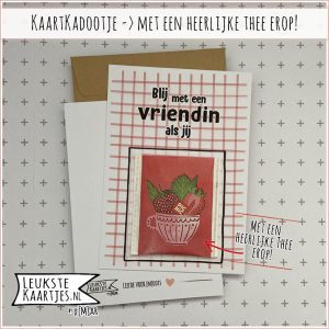 Kaartkadootje -> Theezakje - No:10 (Blij met een Vriendin als jij - Bloemen/kruiden/fruit thee - Rood ruitje)