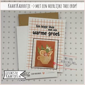 Kaartkadootje -> Theezakje - No:05 (Een kopje thee met een Warme groet - Bloemen/kruiden/fruit thee - Oranje ruitje)