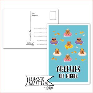 Kaart Op Kamp -> JoMeGiNi - Thuisblijvers No: 70 /6-3 (Groetjes uit Nibbik - Capybara in zwemband met eendjes)