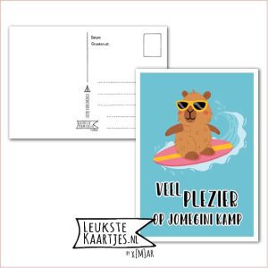 Kaart Op Kamp -> JoMeGiNi - Thuisblijvers No: 71 /6-4 (Groetjes uit Nibbik - Capybara op surfplank)